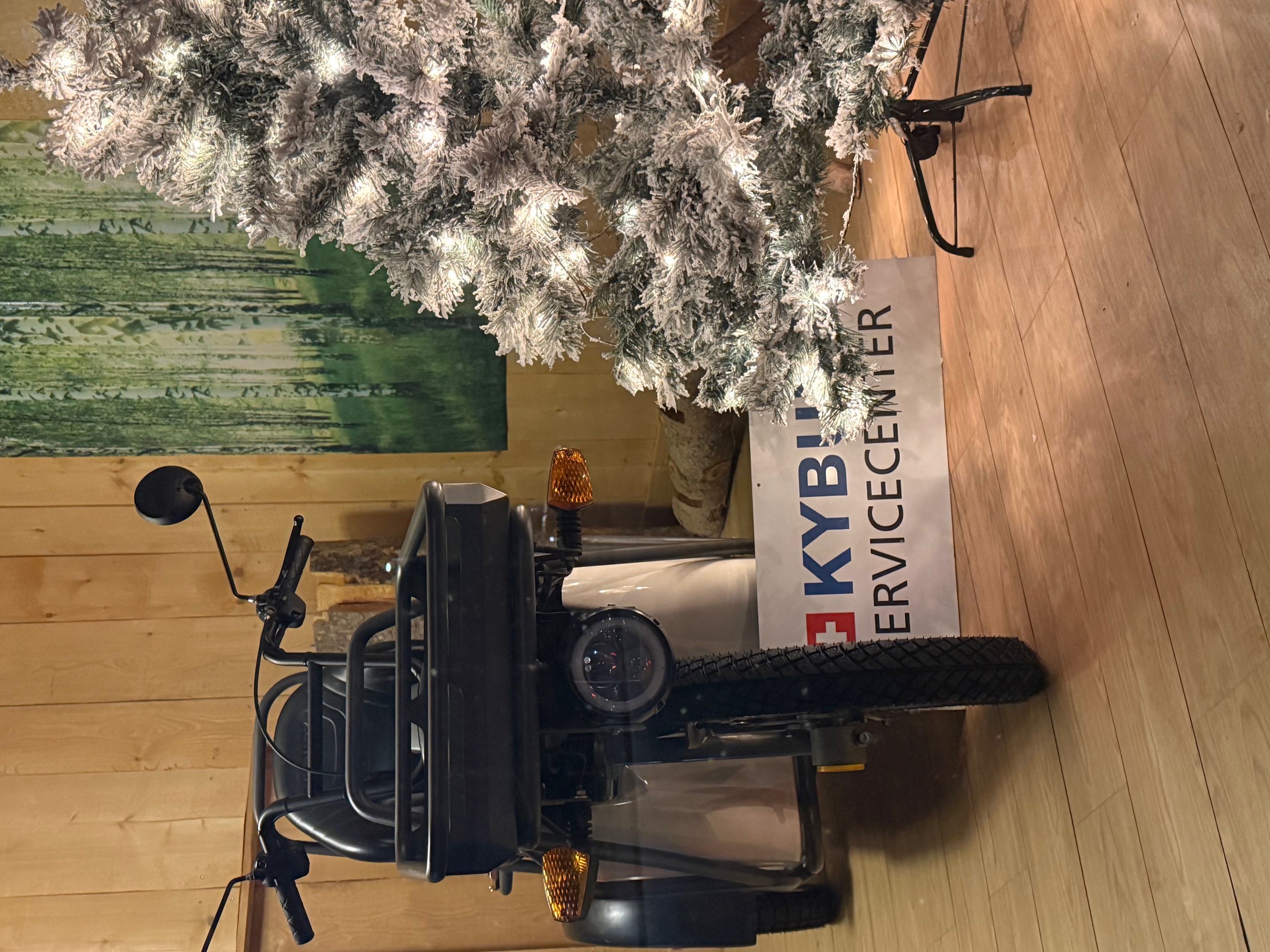 Weihnachtsgruss 2025 1